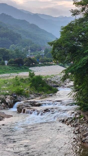 영월_법흥캠핑장 (3)