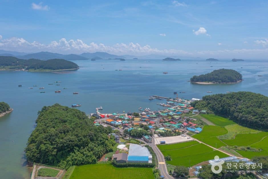 고성_송천참다래마을 (3)