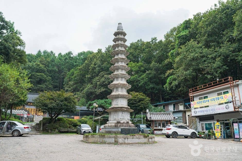 성남_천은정사 (2)
