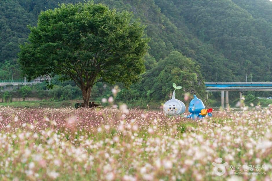 단양_도담마을 도담정원 (5)