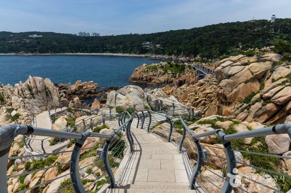 대왕암공원 (2)