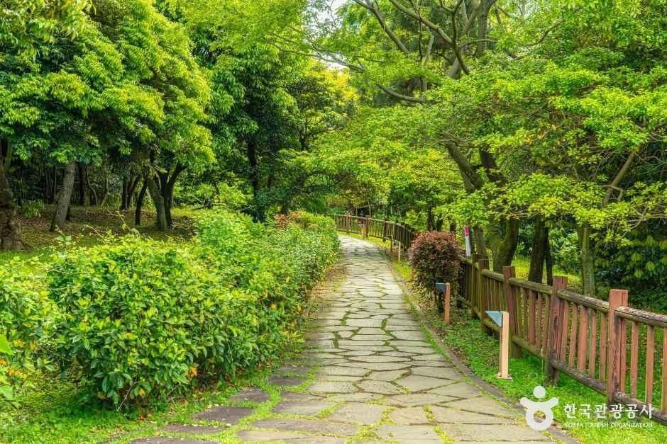 서귀포_서귀포칠십리시공원 (6).jpg