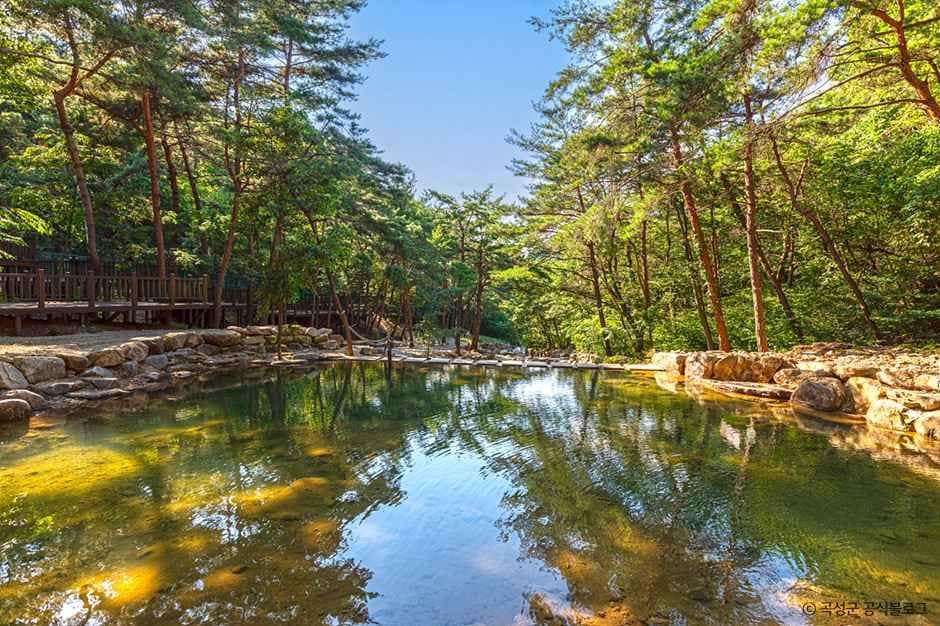 곡성_청계동솔바람야영장 (1).jpg