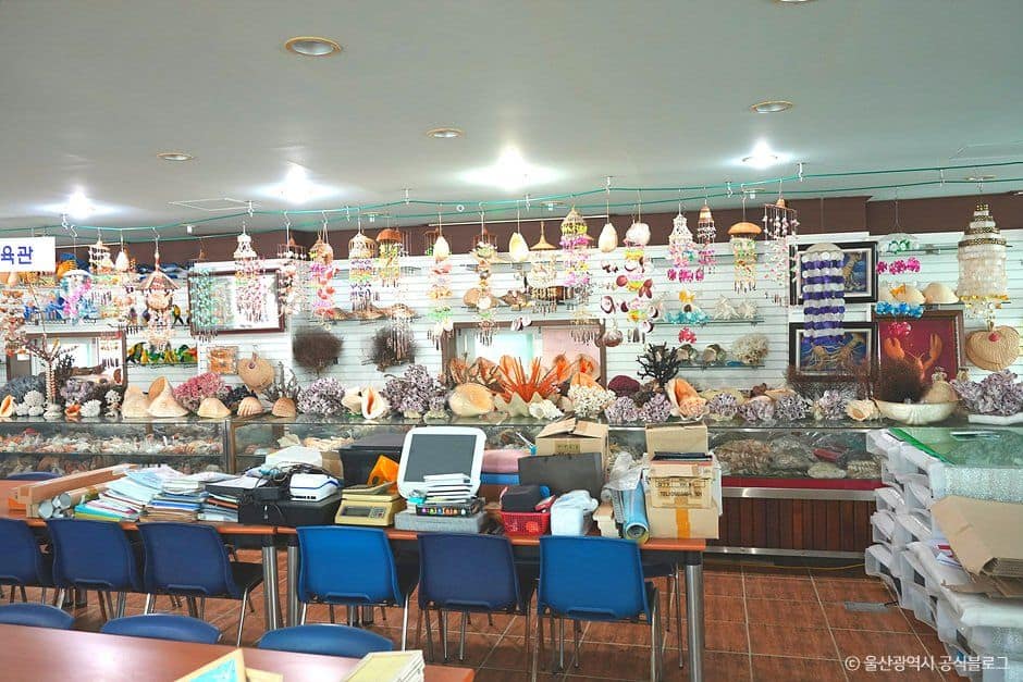 울산_울산해양박물관 (1).jpg
