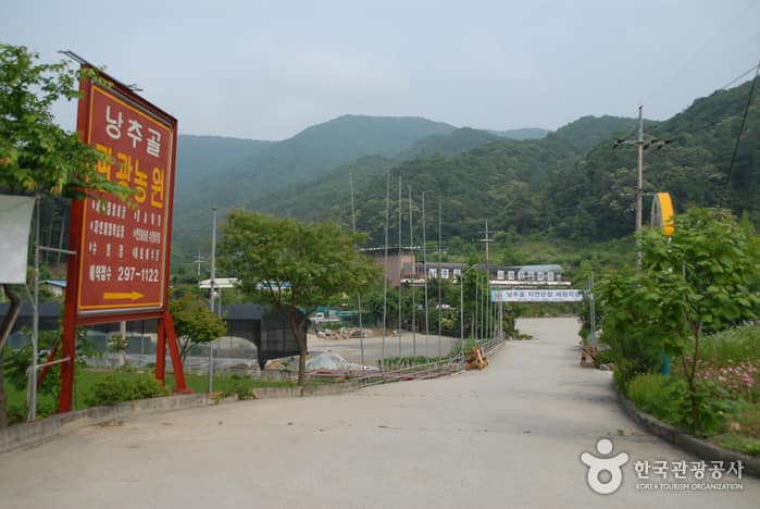 낭추골현장체험학습원&썰매장