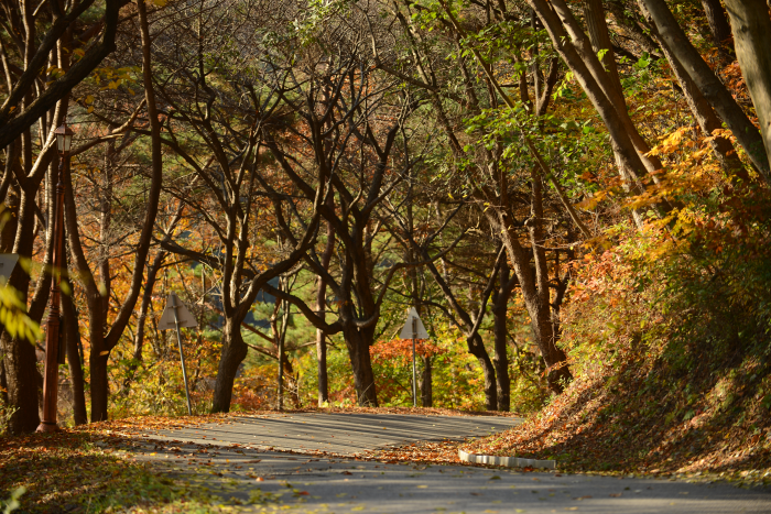 대전충남지사_2_1_칠갑산도립공원(산장로)