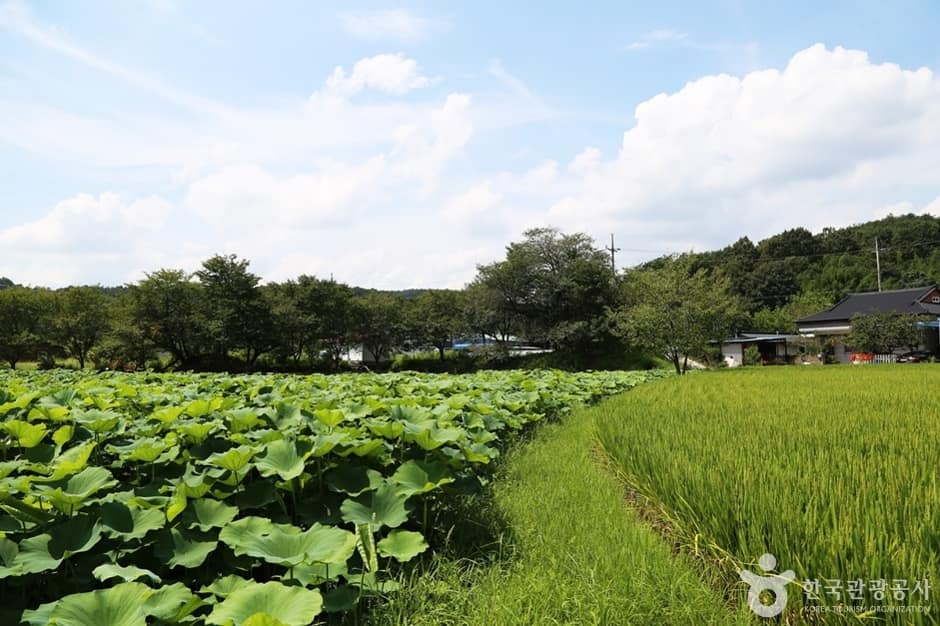 경남_진주_용호정원 (6)