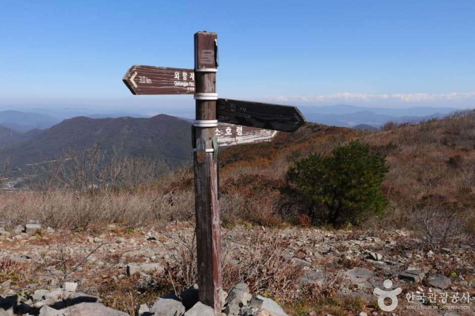 고헌산(울산) (12)