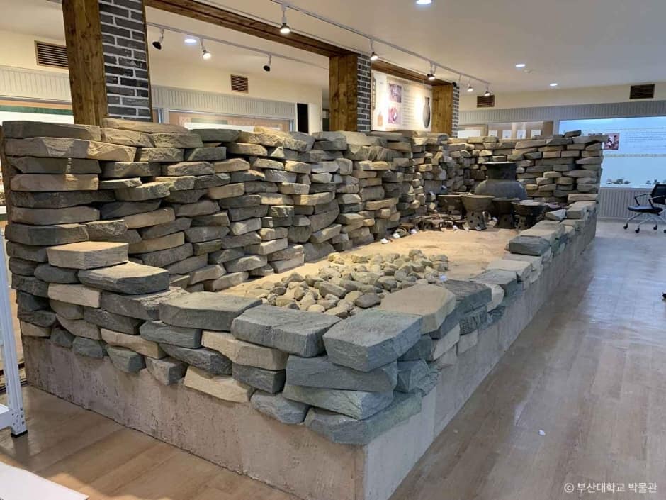 부산대학교 박물관 (6)