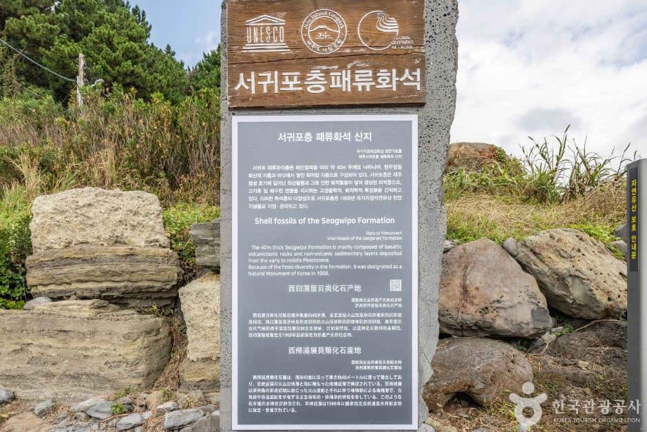 제주_서귀포시_서귀포 패류화석산지_2932006 (10)
