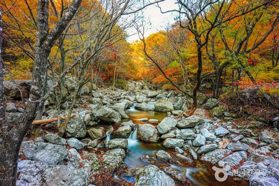 국립 미천골자연휴양림