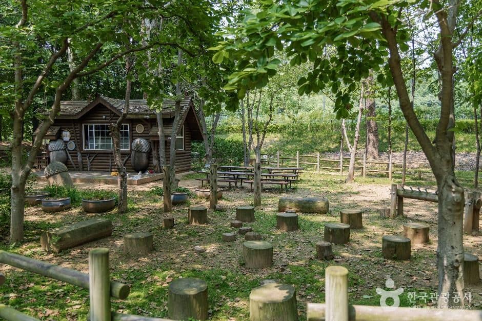 서울_서초문화예술공원 (1)