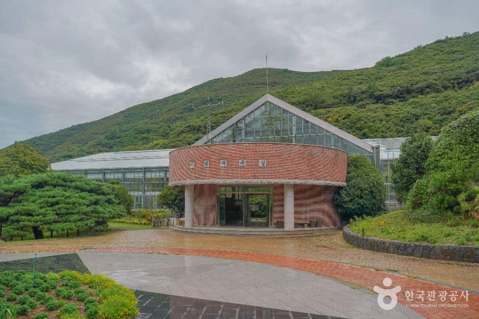 완도_완도수목원 (1)