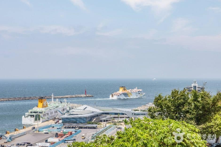제주_제주항 (6)