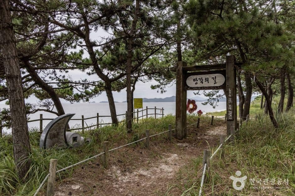 신안_증도 우전해수욕장 (1)