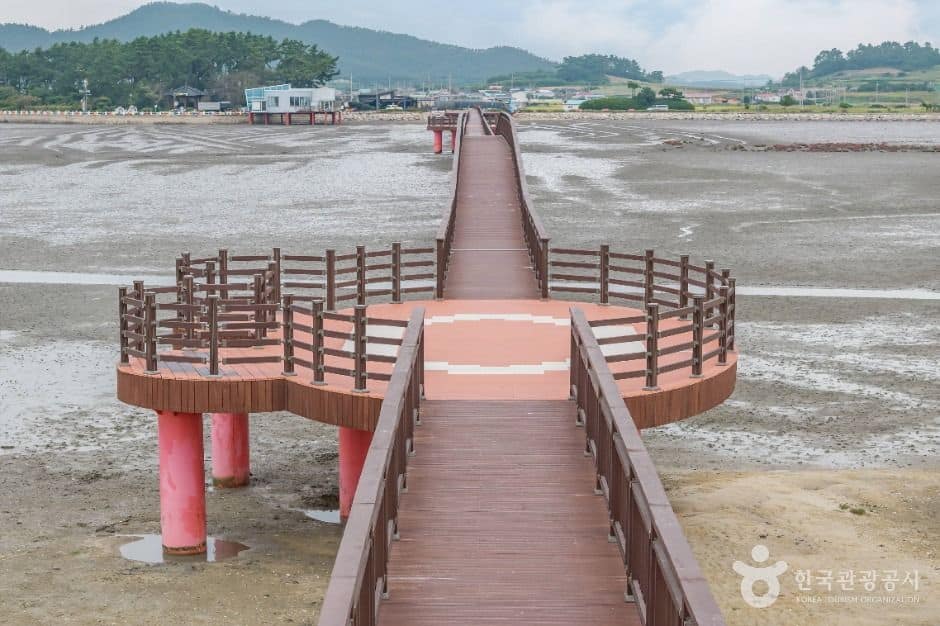 신안_짱뚱어다리 (7)