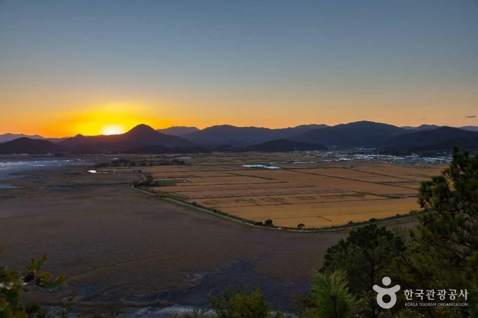 순천_용산전망대 (5)