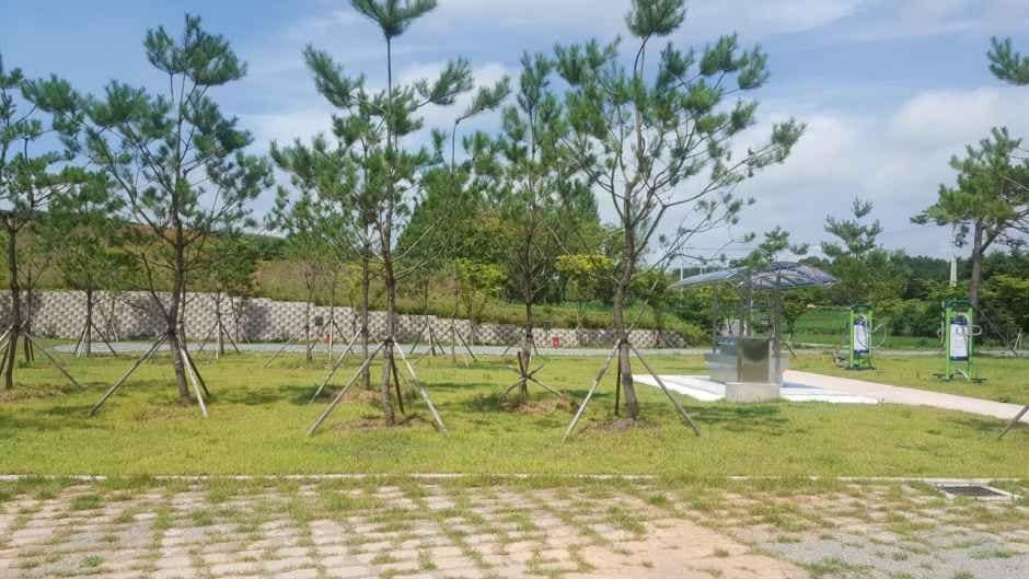 보성_보성 어울마당 야영장 (5).jpg