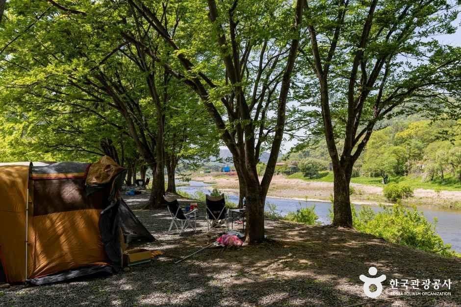 괴산_써니밸리캠핑장 (4).jpg