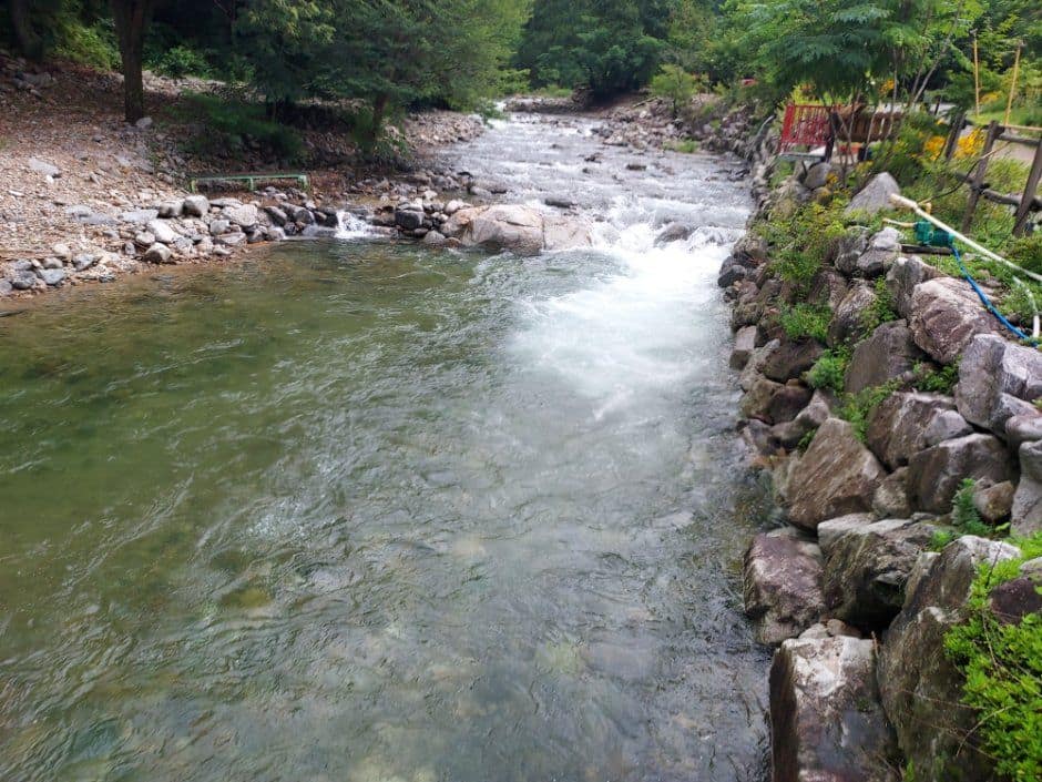 횡성_횡성산울림오토캠핑장 (5).jpg