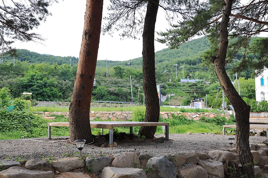울산힐링캠프_데크