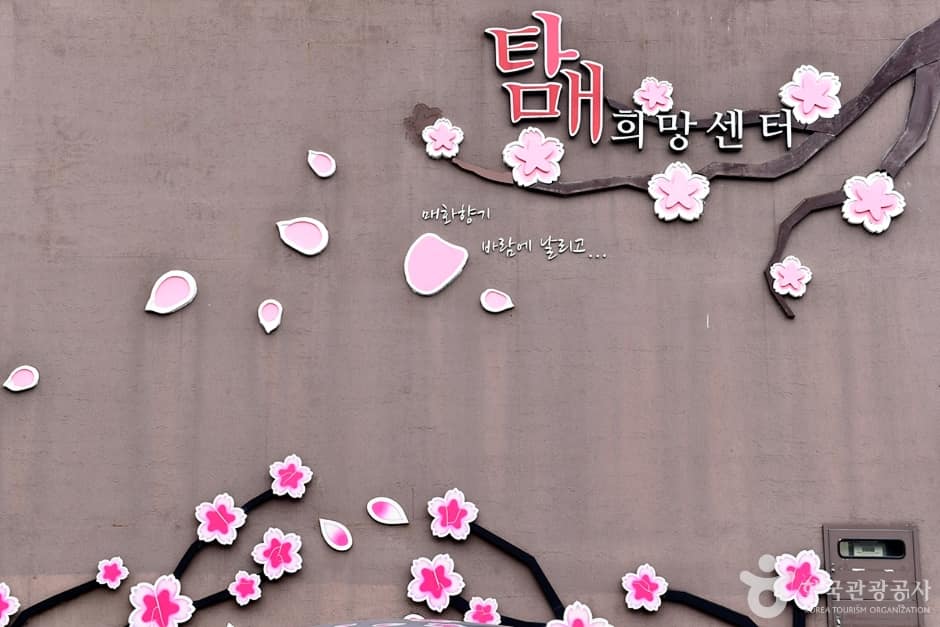 NO2189_전남_순천_탐매마을_탐매희망센터벽화포토존