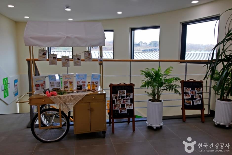 충주 농산물 가공체험교육관 (10)