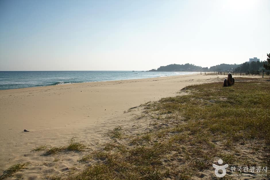 북분리해수욕장 (5)