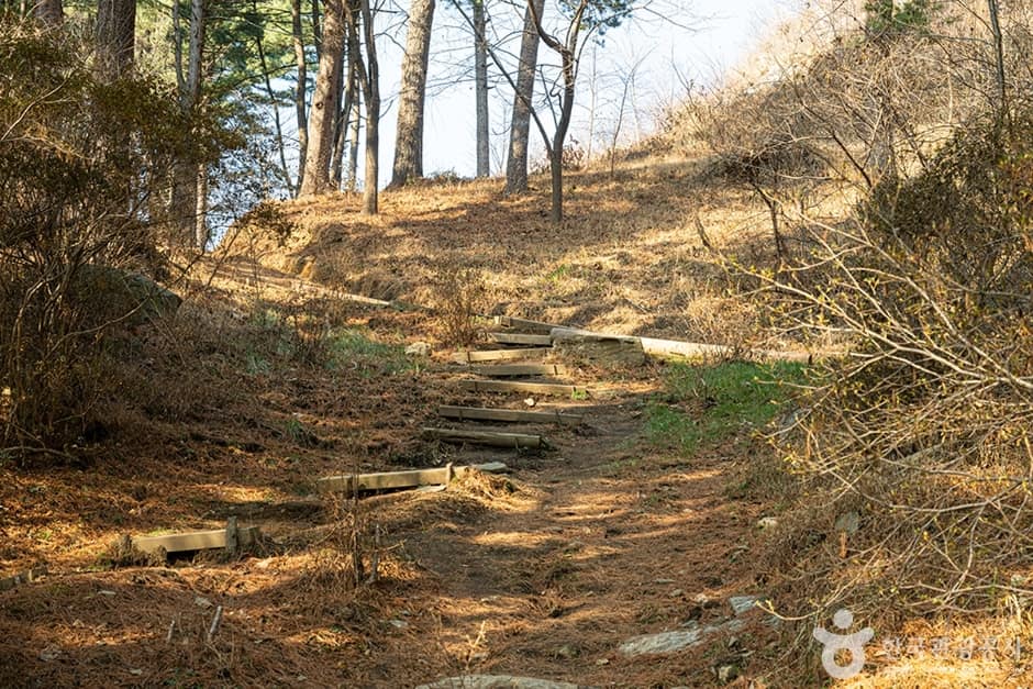 축령산 (5)