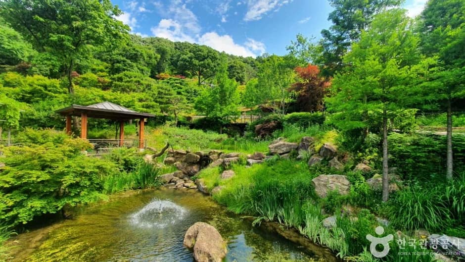 화담숲 (8)