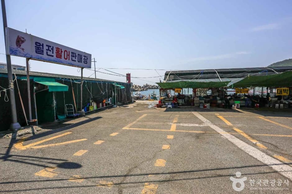 월전포구(월전방파제) (5)