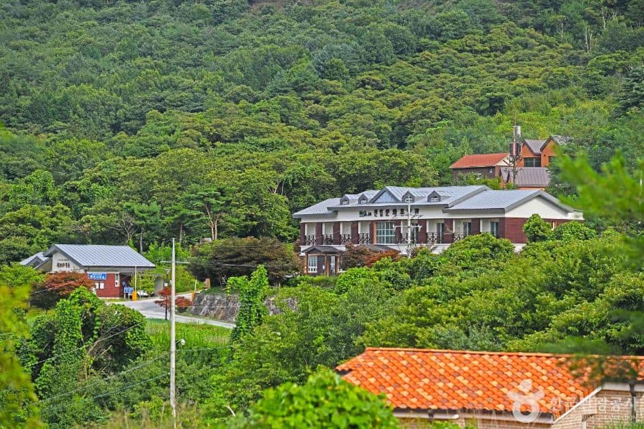 전남_구례_산수유 자연휴양림 (2)