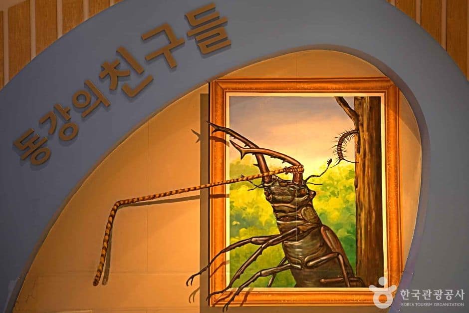 영월_영월동강생태공원 (7)