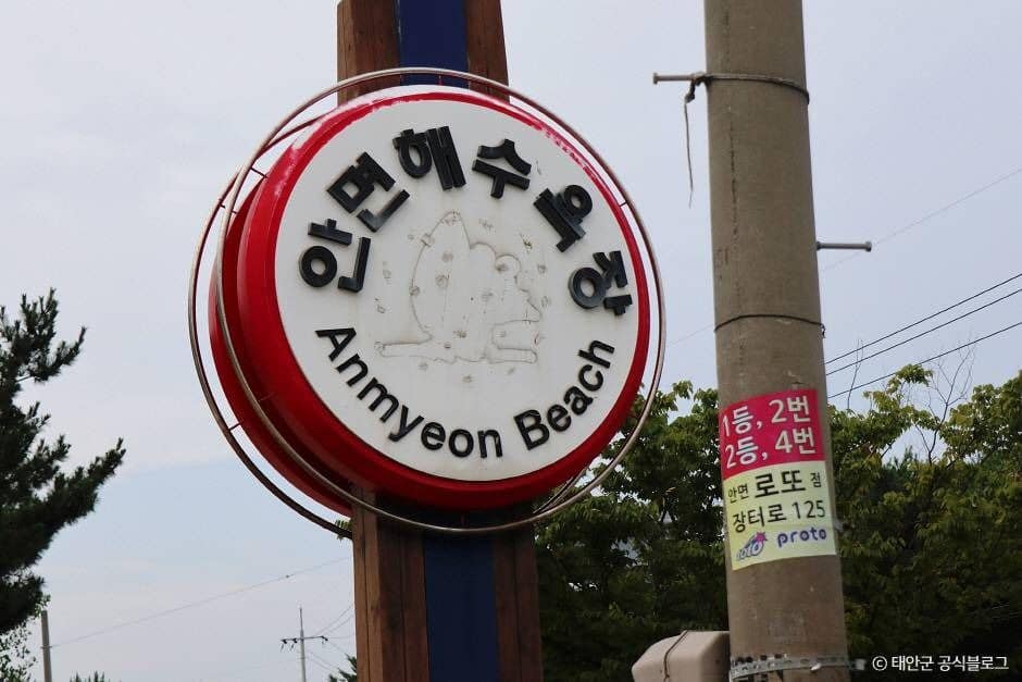 태안_안면해수욕장 (5)