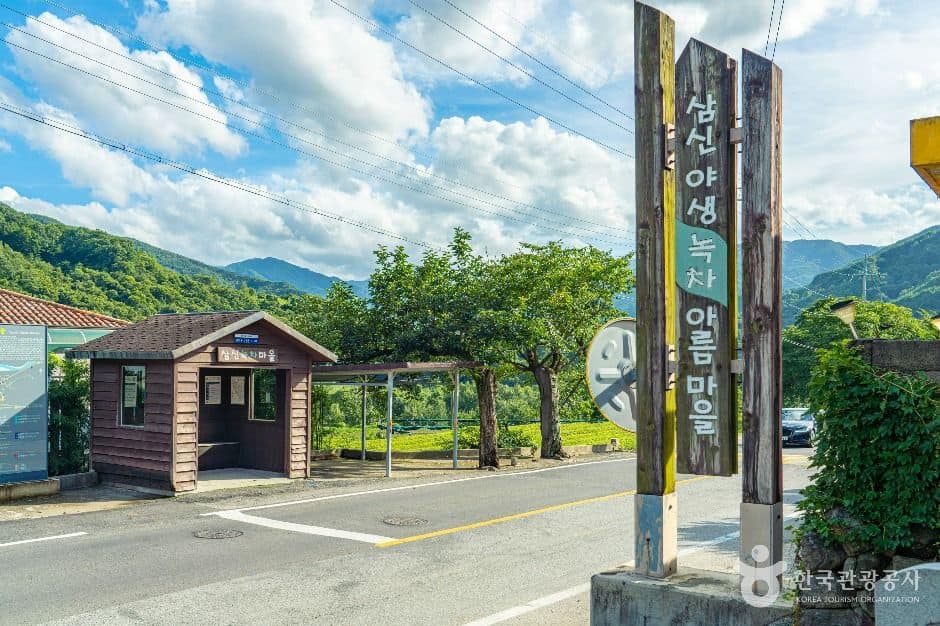 하동_삼신녹차마을 (1)