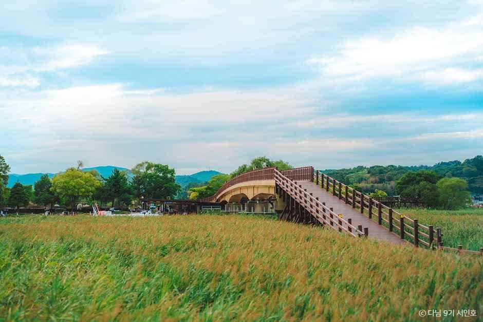 순천_순천만탐사선 (1).jpg