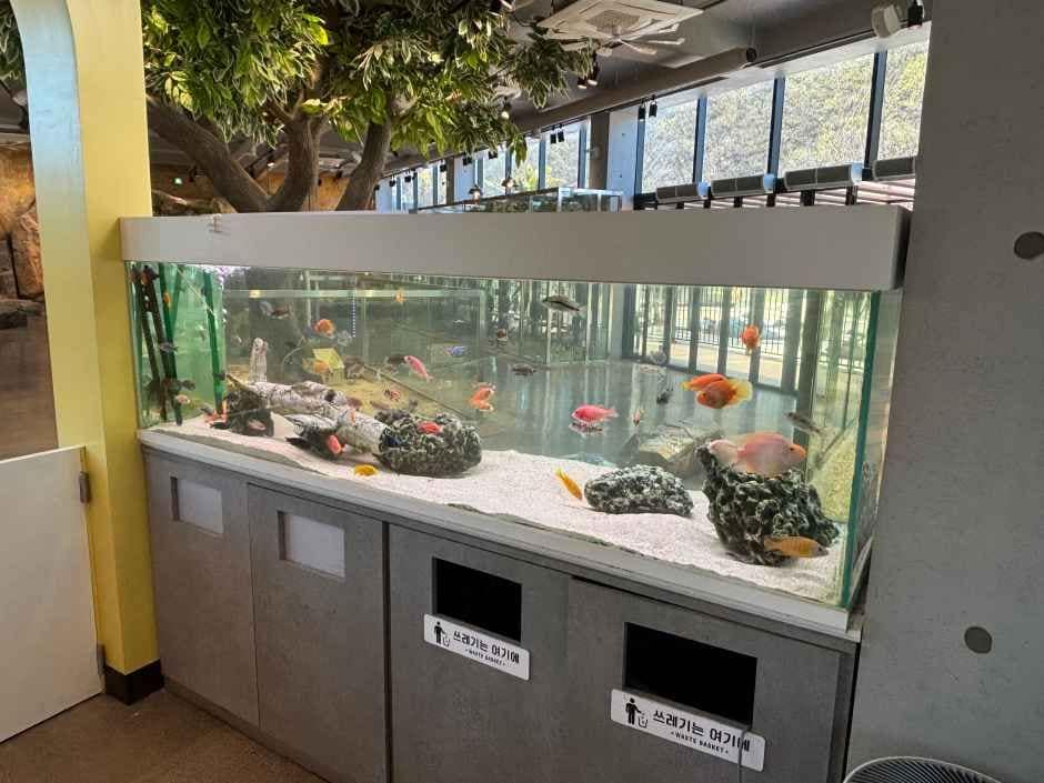 울산_와글와글 동물원 (6).jpg