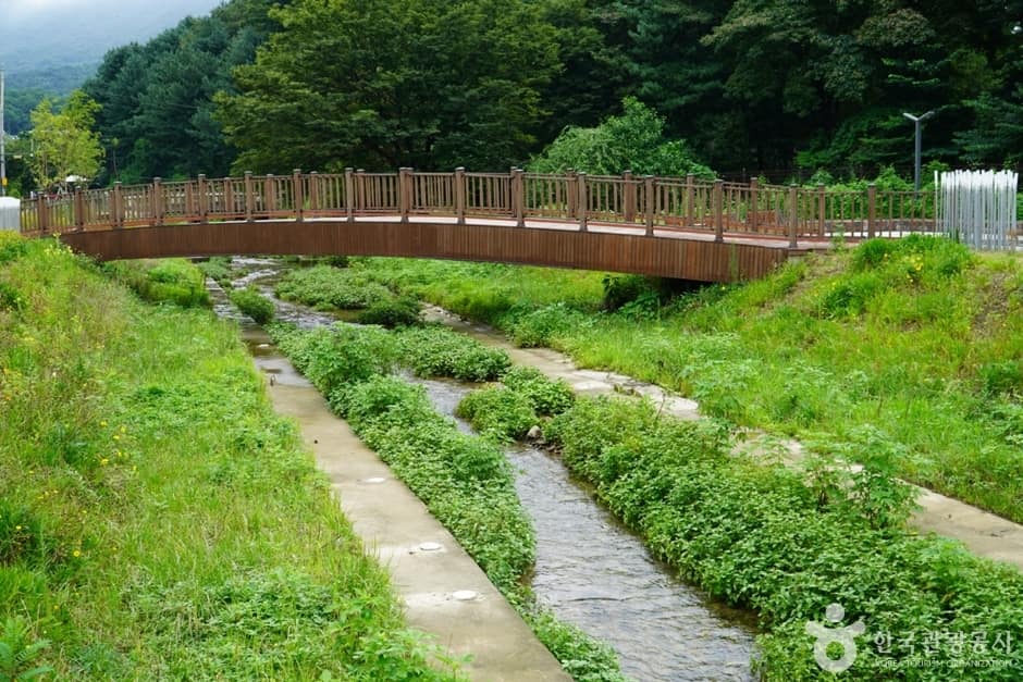 이석영광장14