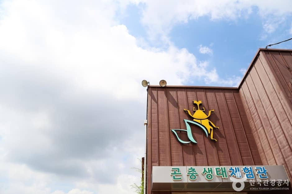 거제곤충생태박물관 (3)