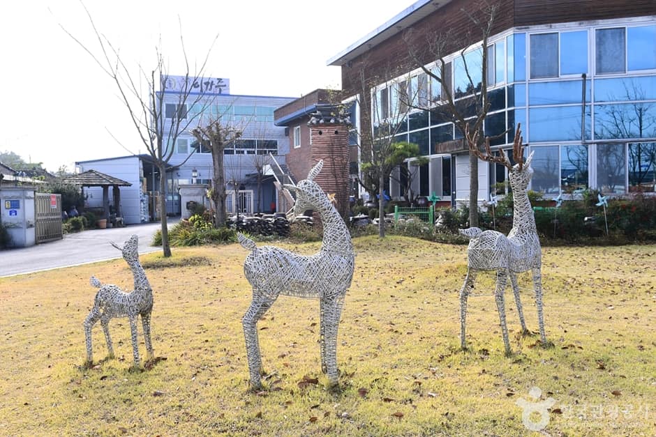 전북_전주_전주 이강주 (5)