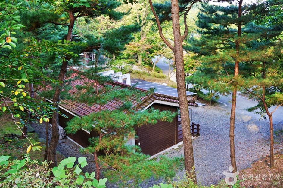 수레의산자연휴양림 (10)