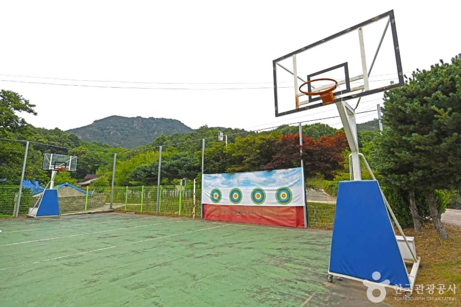 금강모치마을 (5)