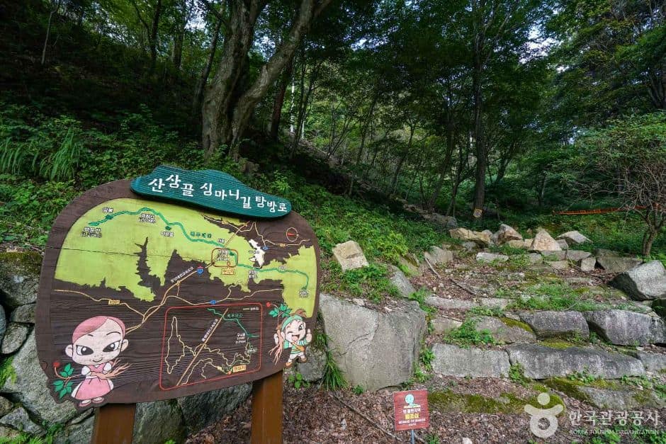 경남_함양_산삼자연휴양림 (7)