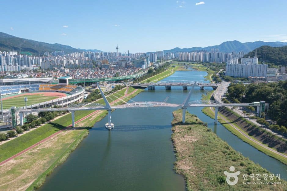 양산_양산천 구름다리 (1)