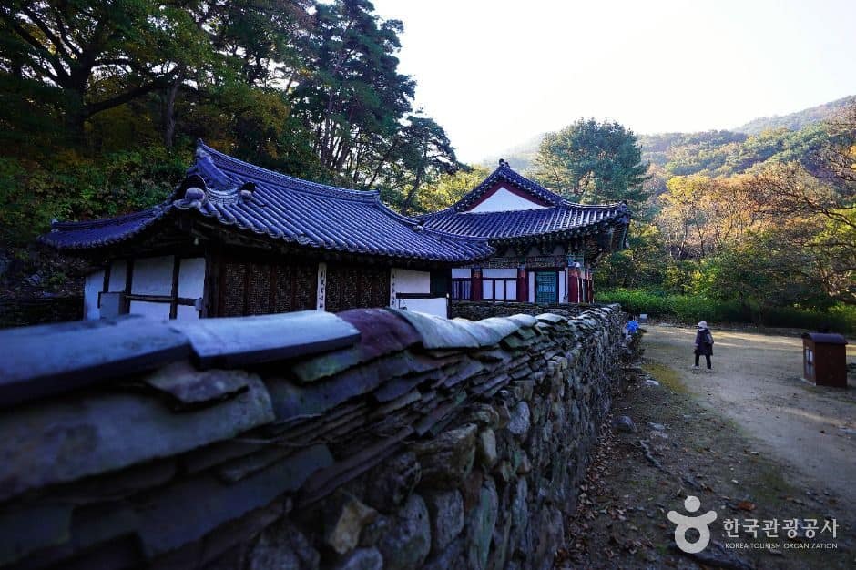 공주 갑사