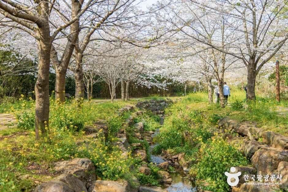 서귀포_대왕수천예래생태공원 (5).jpg