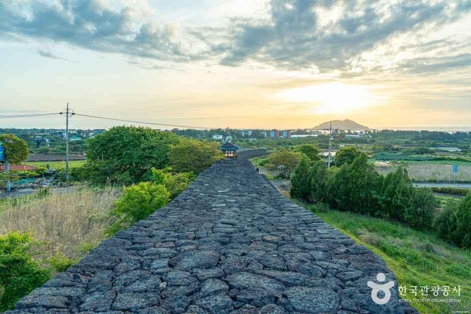 제주_명월성지 (6).jpg