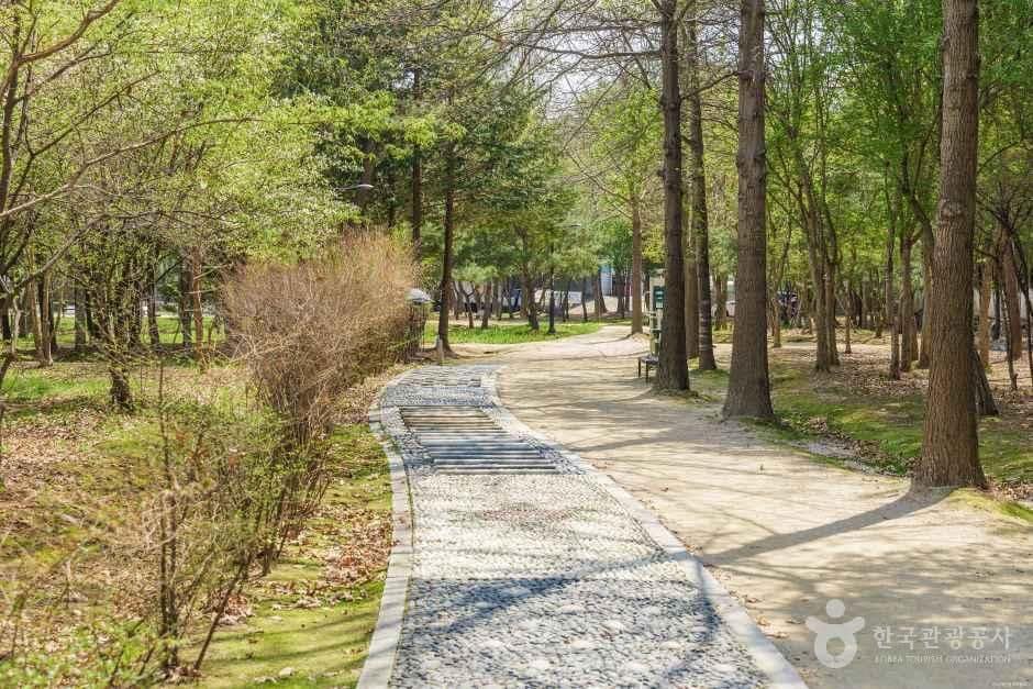 고양_대화농업체험공원 (6).jpg