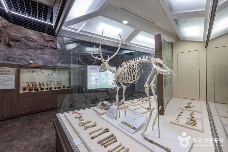 단양_수양개선사유물전시관 (4).jpg
