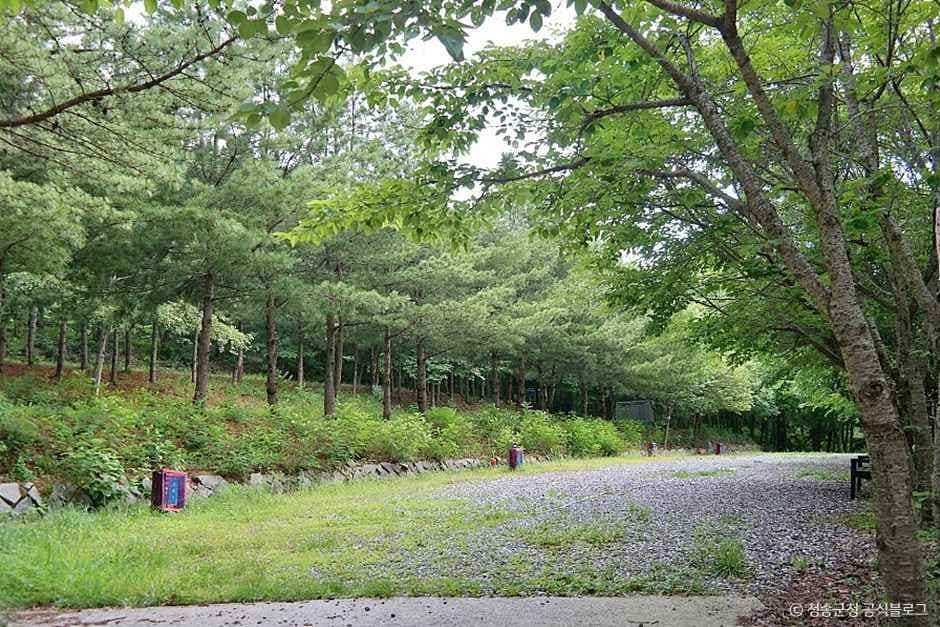 청송_청송오토캠핑장 (7).jpg